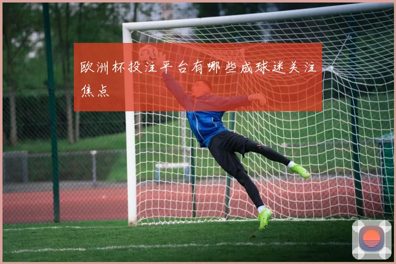 欧洲杯投注平台有哪些成球迷关注焦点