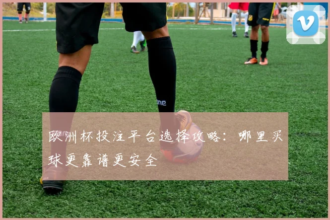 欧洲杯投注平台选择攻略：哪里买球更靠谱更安全