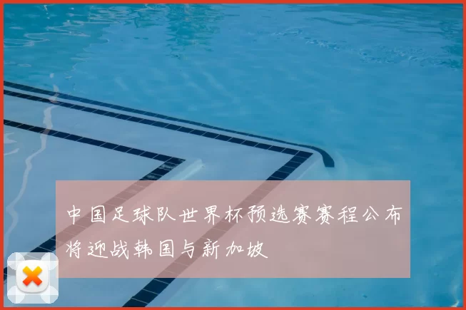 中国足球队世界杯预选赛赛程公布将迎战韩国与新加坡