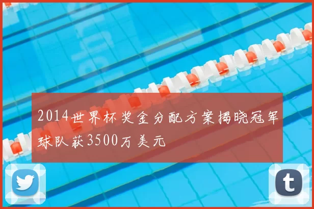 2014世界杯奖金分配方案揭晓冠军球队获3500万美元