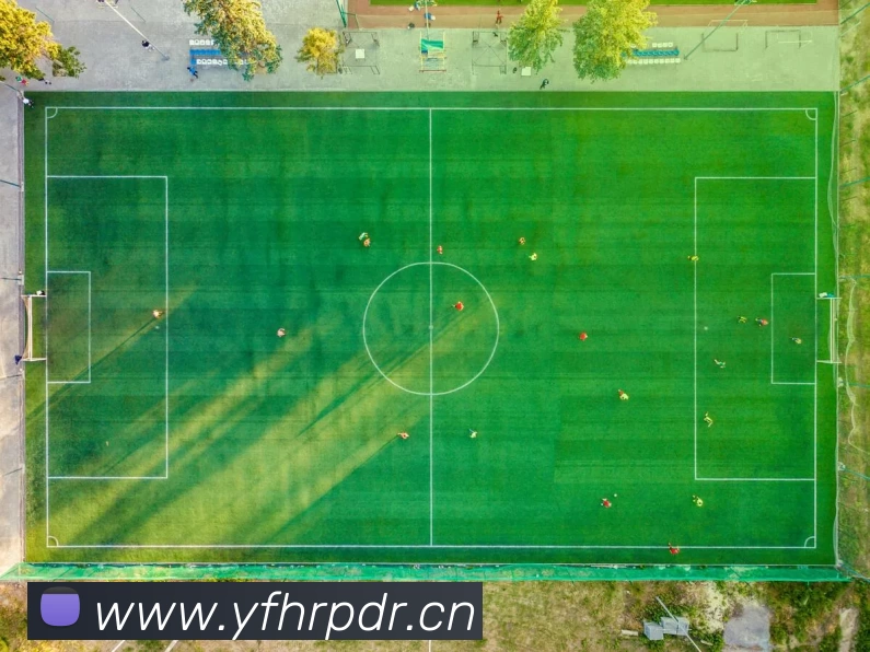 多媒体互动体验